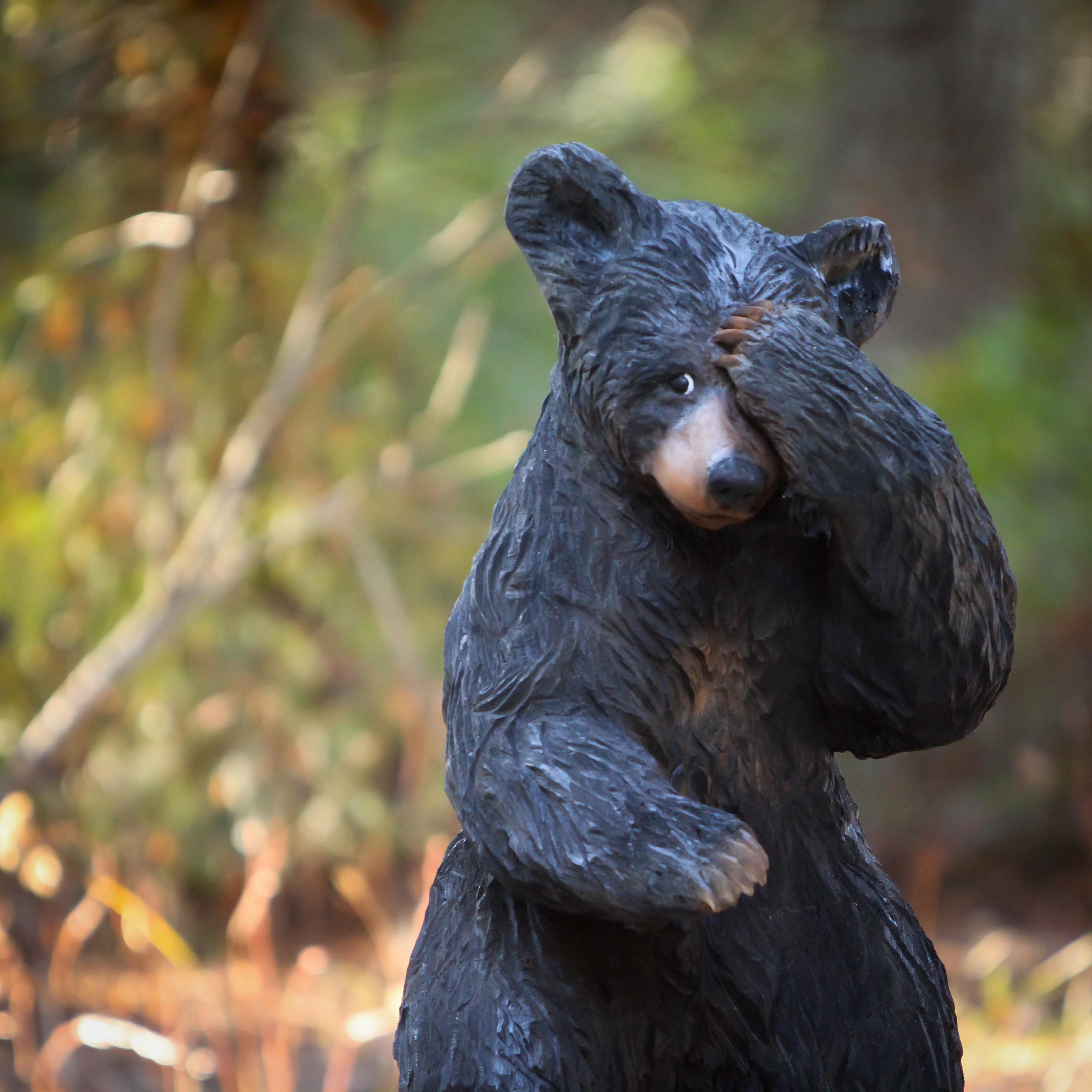 Jeff May Art  Realistic Carved Black Bear Bashful Bear