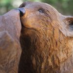 Bear Cubs Touching Noses