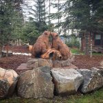 Bear Cubs Touching Noses