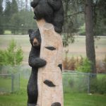 Black Bears Climbing on Birch Tree 2