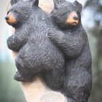 Black Bears Climbing on Birch Tree 3