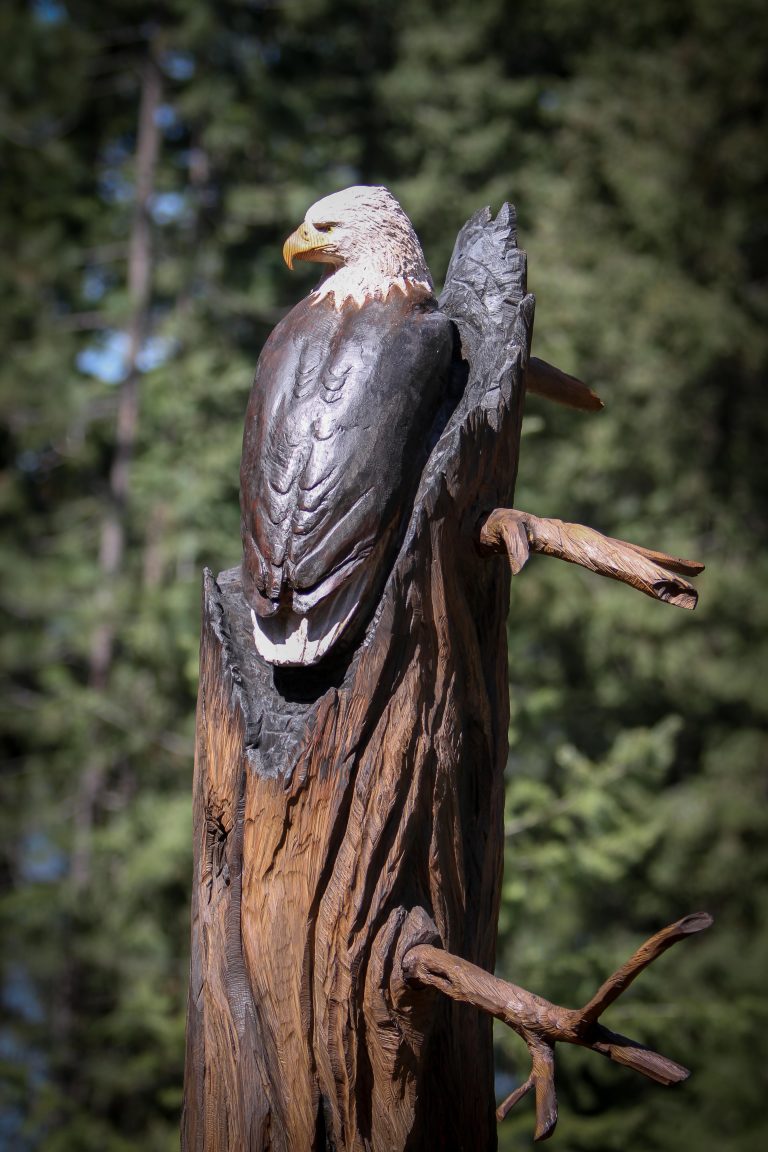 Carved American Bald eagle 1