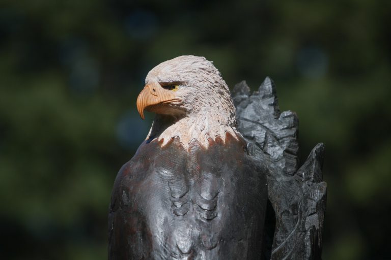 Carved American Bald eagle 2
