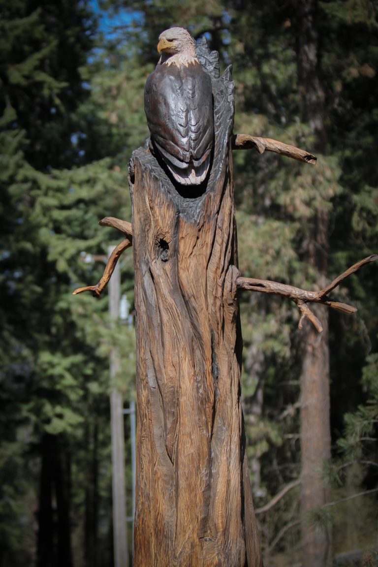 Carved American Bald eagle 3