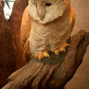 Carved Barn Owl