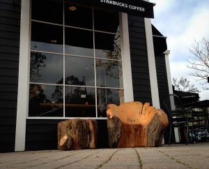 Carved Cypress Chairs 2