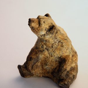 Bronze Bear Cub sitting