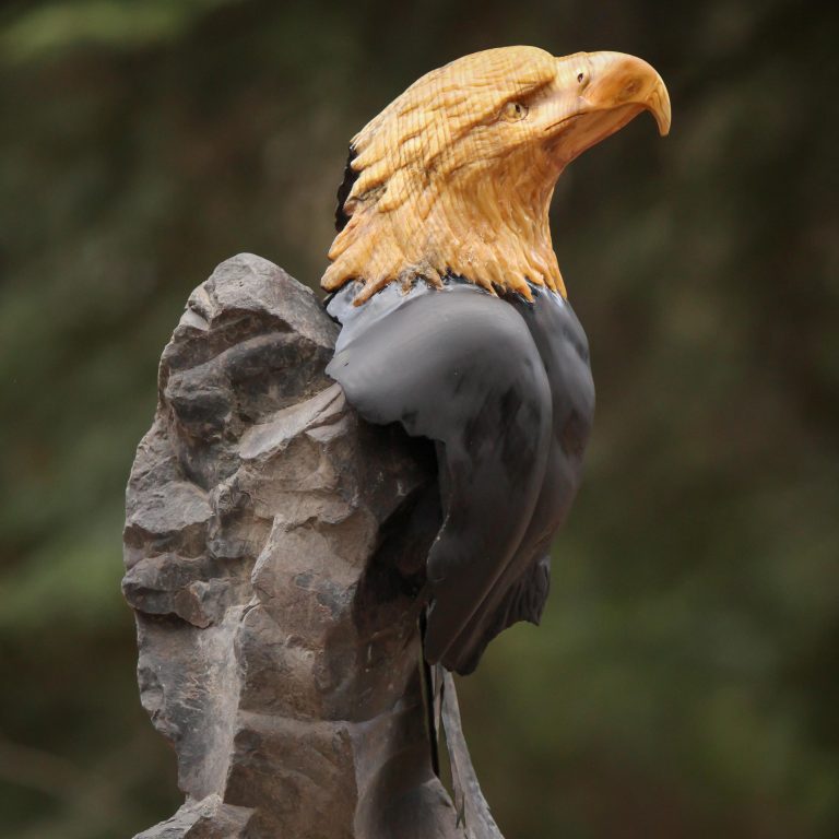 Carved Eagle Head Eagle Pride