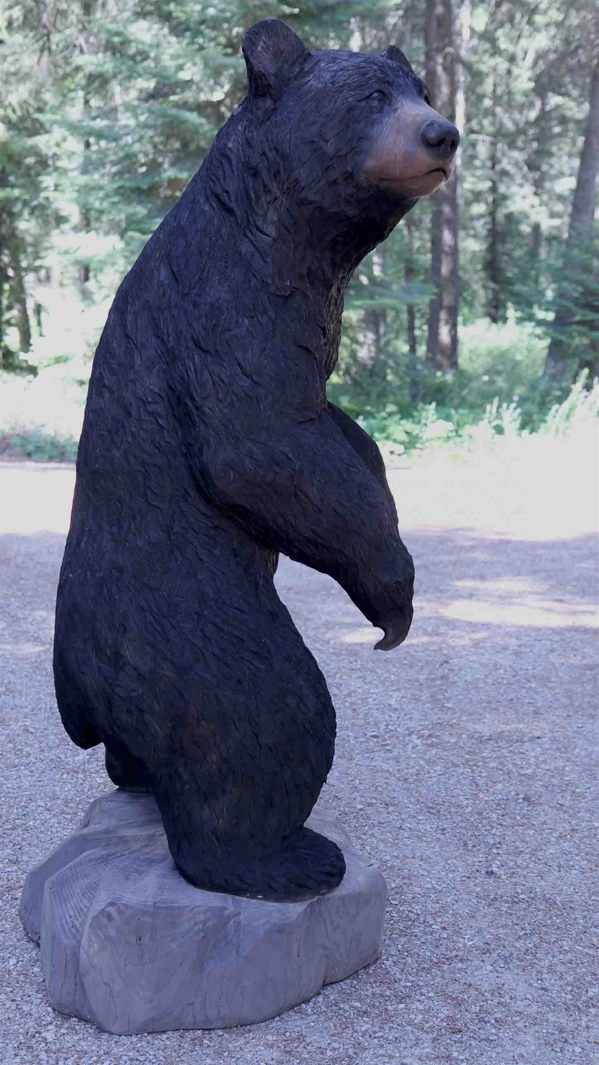 black bear standing mount