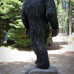 Sasquatch Big Foot 5