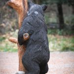 Standing Black Bear against tree