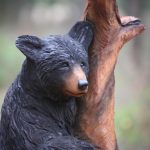 Standing Black Bear against tree