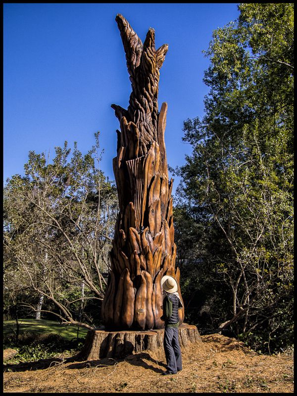 Abstract wood sculpture