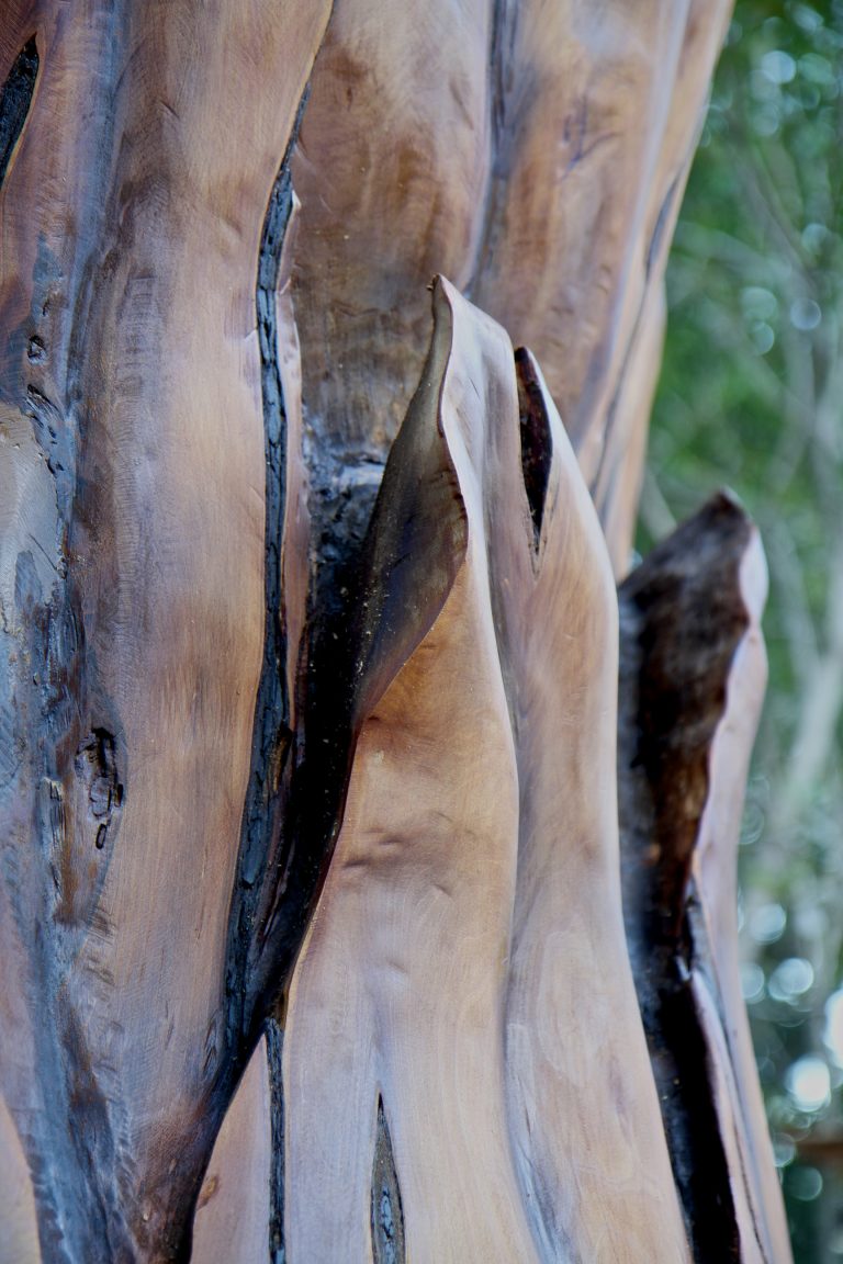 Abstract wood sculpture