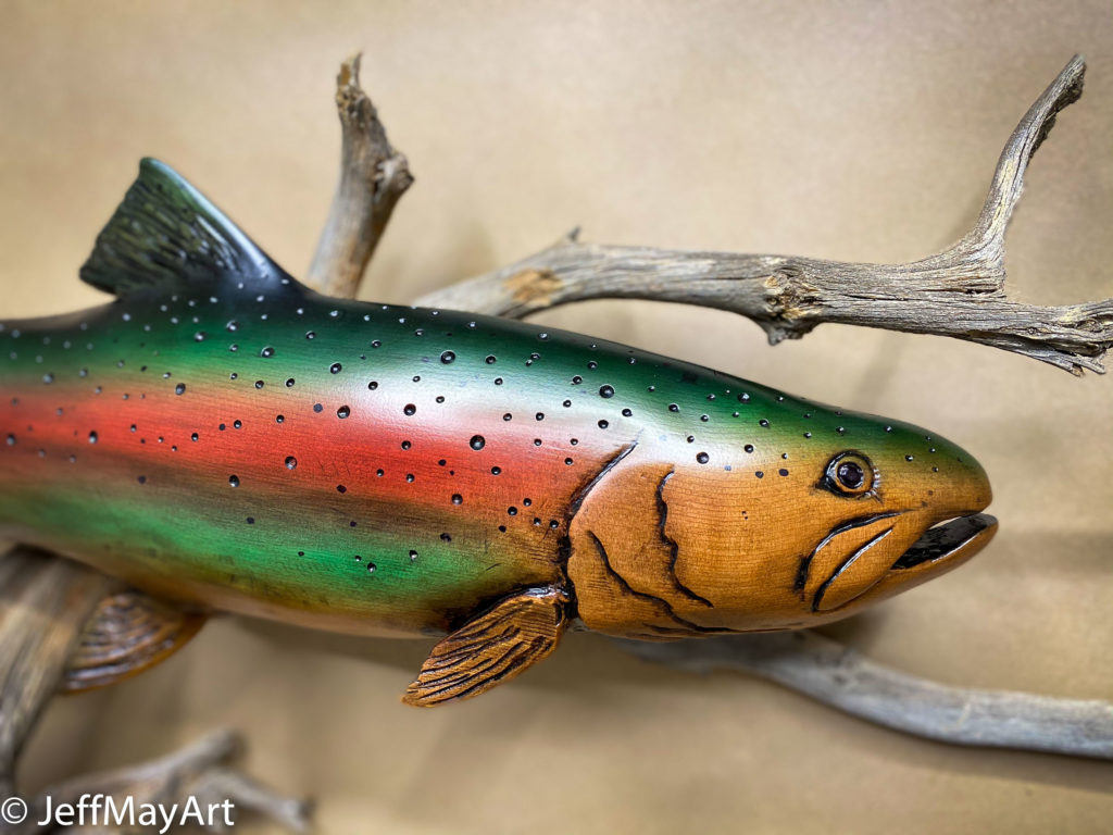 Rainbow Trout close up